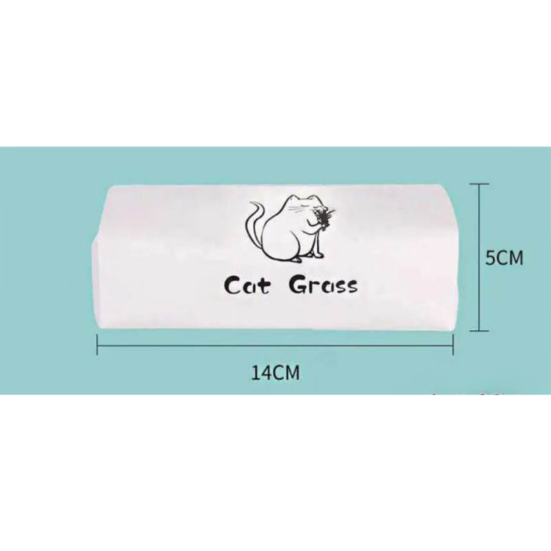 چمن گربه Cat Grass - Image 3