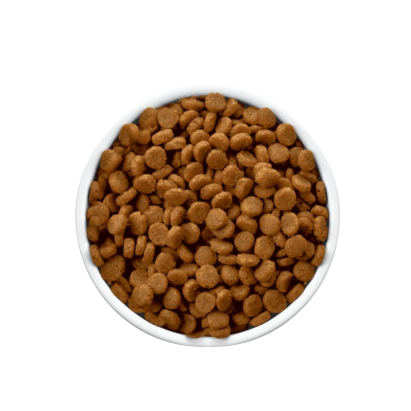 غذای خشک سگ مونلو سالمند یا عقیم شده طعم مرغ و برنج 500 گرمی - Image 2